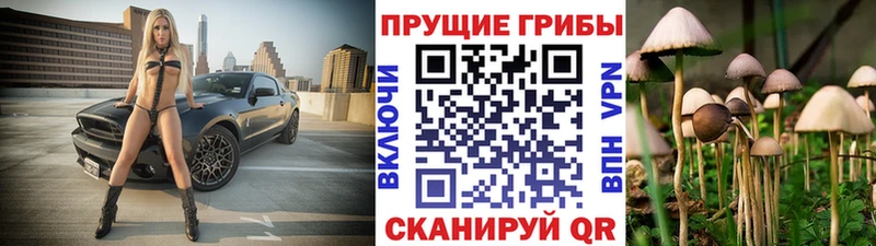 Псилоцибиновые грибы Cubensis  Пестово 